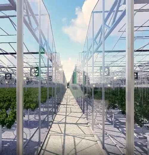 First hydroponic farm site cleared in Kuje, Abuja.